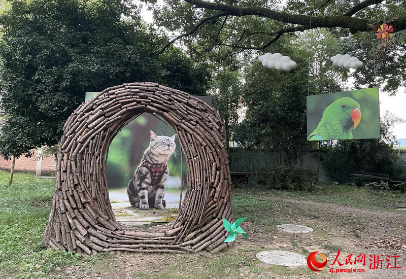 2023麗水攝影節主展區一景。人民網記者 王麗瑋攝