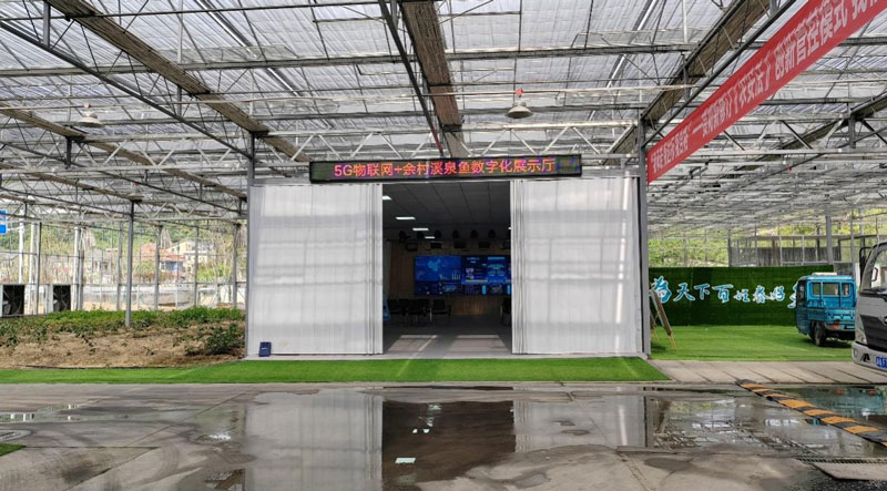 5G物聯網+余村溪泉魚數字化展廳。浙江移動供圖