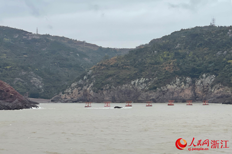 全國首個大黃魚智能無網聲波海洋牧場。人民網記者 王麗瑋攝