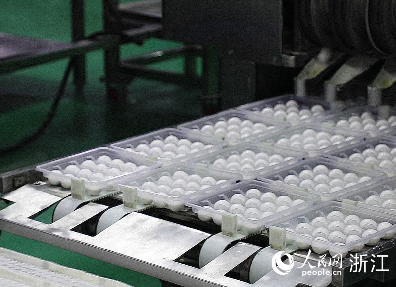 佳節臨近，缸鴨狗生產車間的自動化生產線全速運作。人民網 方彭依夢攝