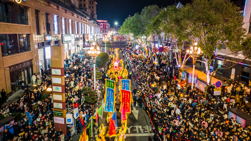 “龍騰獅舞鬧元宵”活動現場。景寧縣委宣傳部供圖
