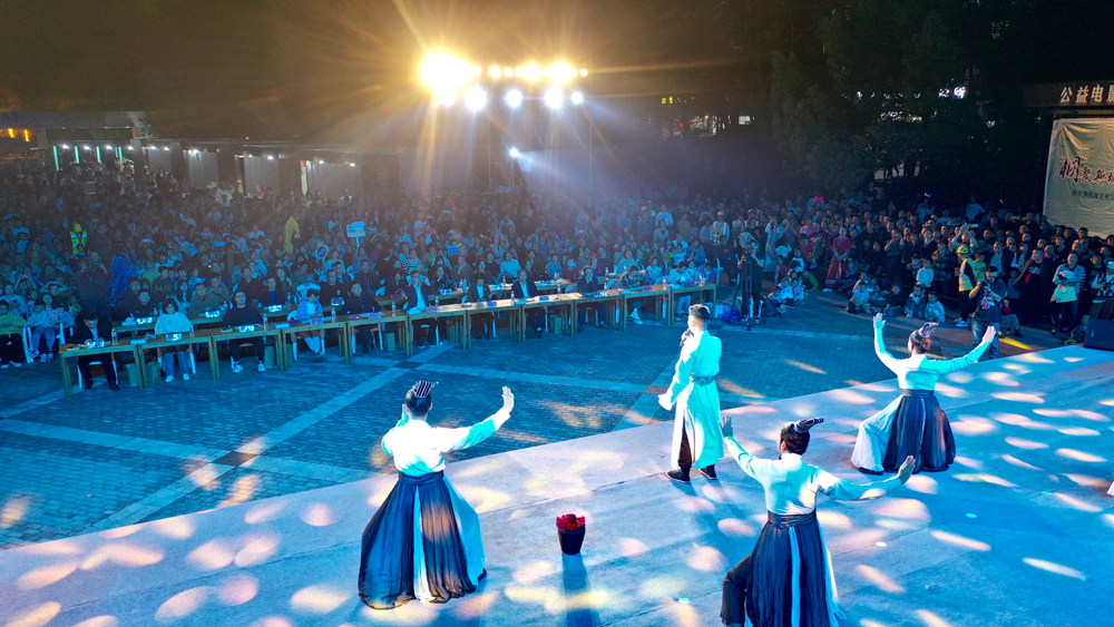 武義縣新居民才藝大賽展演活動現場。沈云建攝