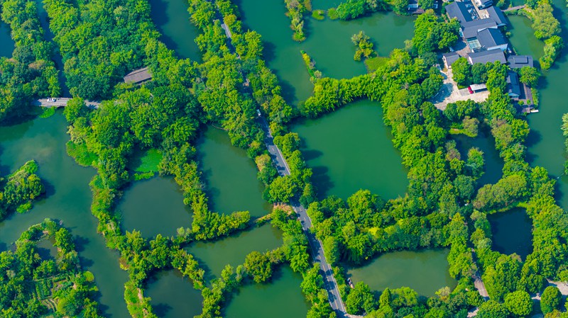 經過修復治理，西溪濕地內的三基魚塘煥然一新。西溪濕地供圖