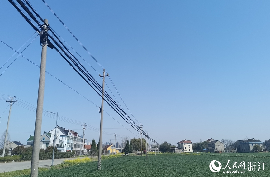 在平湖，整理后的線桿實現 朵