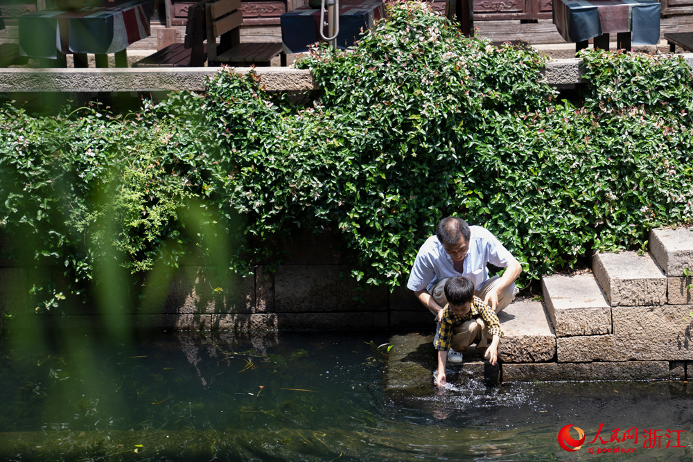 5月26日，浙江省嘉興市月河旁，一位老人在陪孩子戲水玩耍。人民網 陳陸洵攝