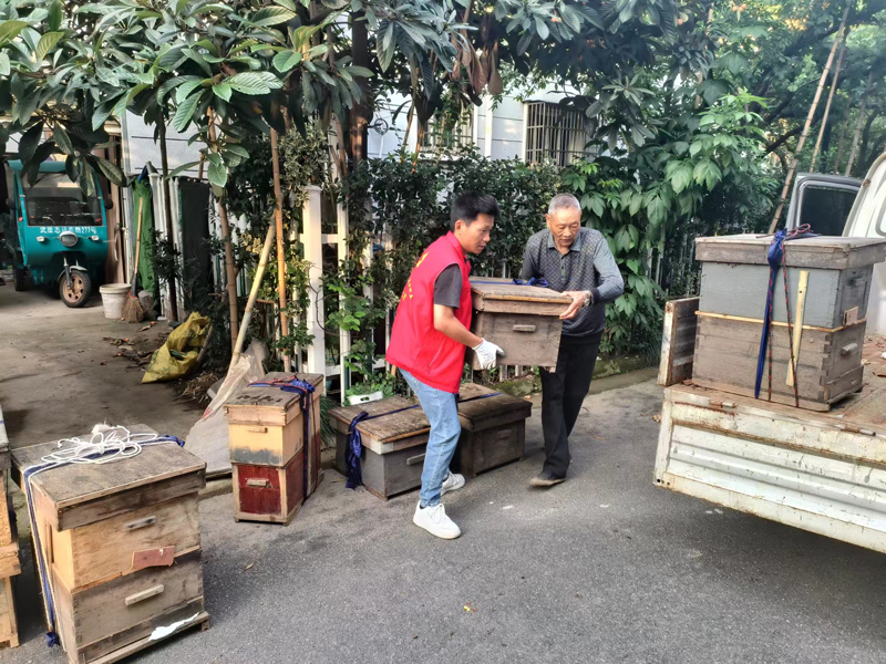 居民把蜂箱搬離小區。武康街道供圖