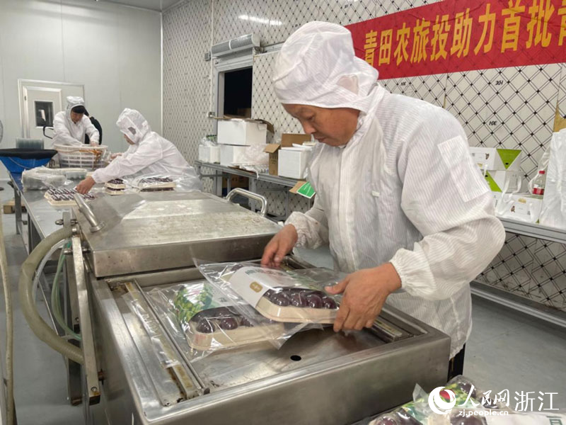 在全冷鏈楊梅車間里，工作人員正在對出口楊梅進行真空鎖鮮包裝。人民網記者 王麗瑋攝