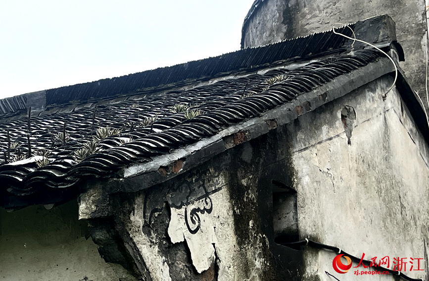 無人管理，老舊房頂長滿雜草。人民網記者 張麗瑋攝