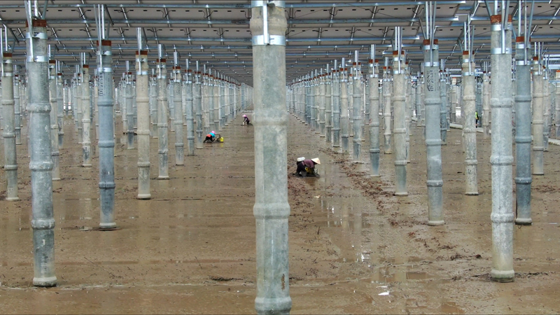 漁民勞作圖片。受訪者供圖