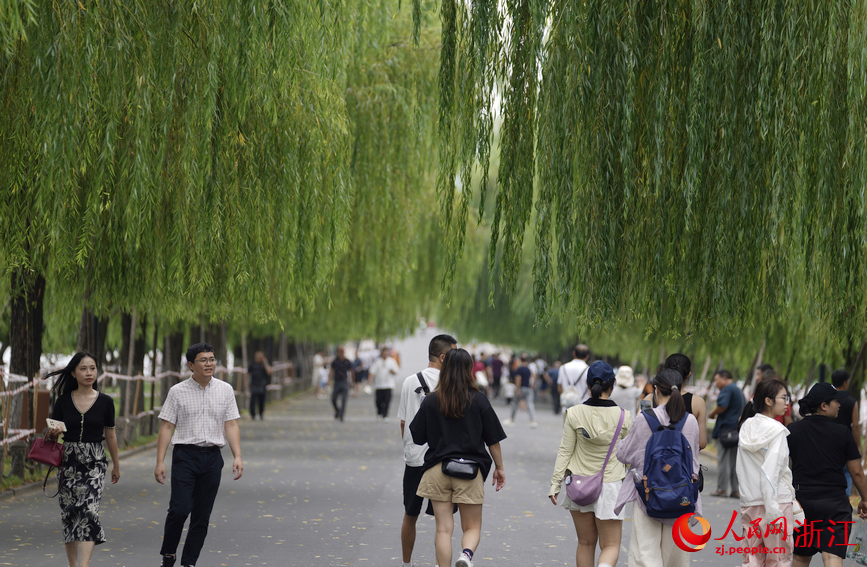 西湖景區游人如織。人民網記者 郭揚攝