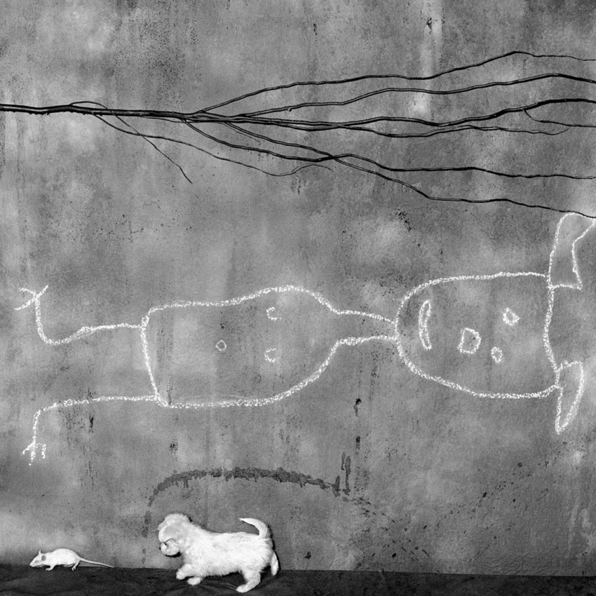 顛倒的地方。羅杰·拜倫攝