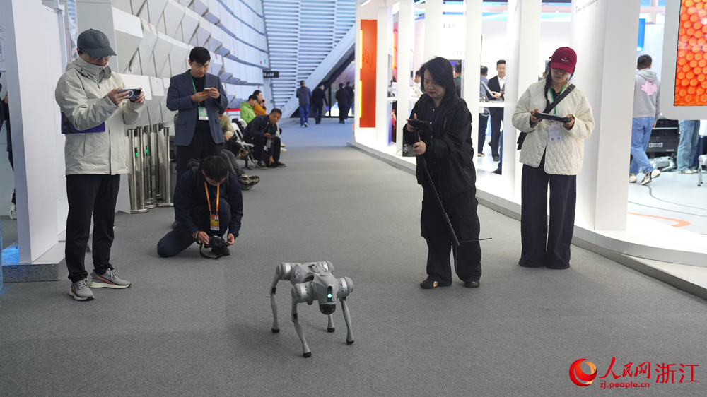 本次博覽會以人工智能為展示重點。人民網 方彭依夢攝