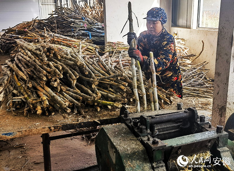 村民將成熟的甘蔗榨汁。人民網記者 周坤攝.jpg