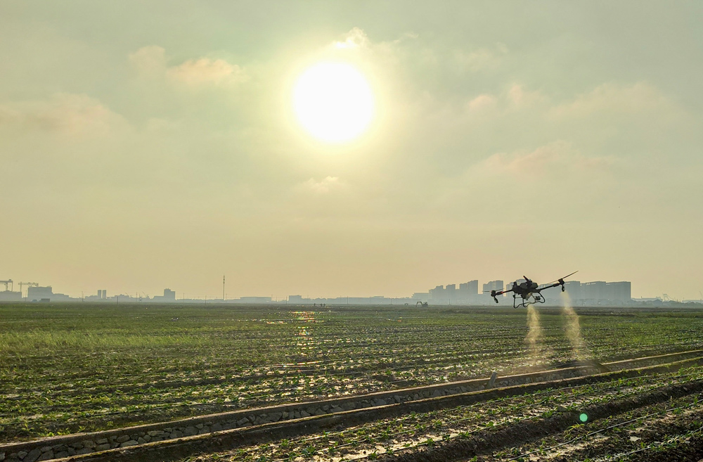 工作中的植保無人機。受訪者供圖