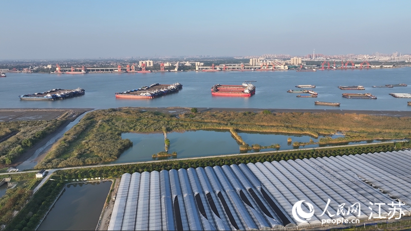 鎮江破解“重化圍江”，做好沿江生態修復。人民網 余樂攝