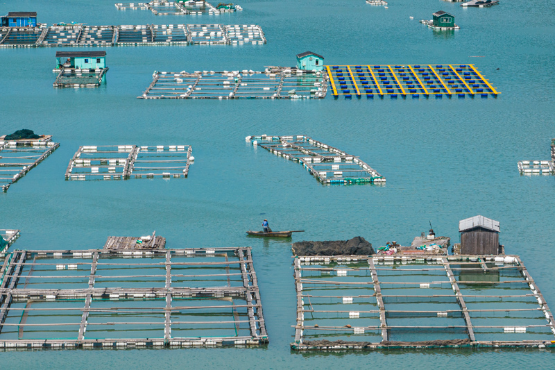 深海養殖網箱。受訪者供圖
