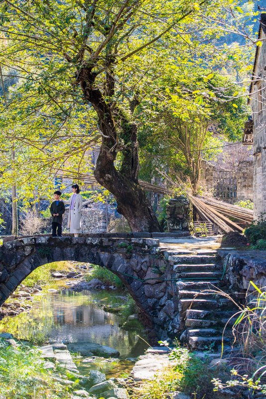 古色古香的村莊。臨海市委宣傳部供圖