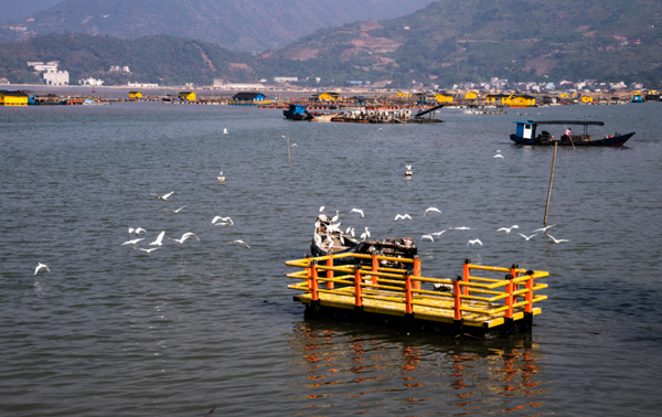 走，一起去逛蒼南！