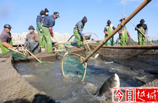 開曬咯！越城這里年年有“魚”