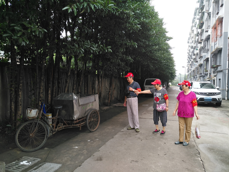 和諧勸導隊參與社區監督治理。賀棟攝