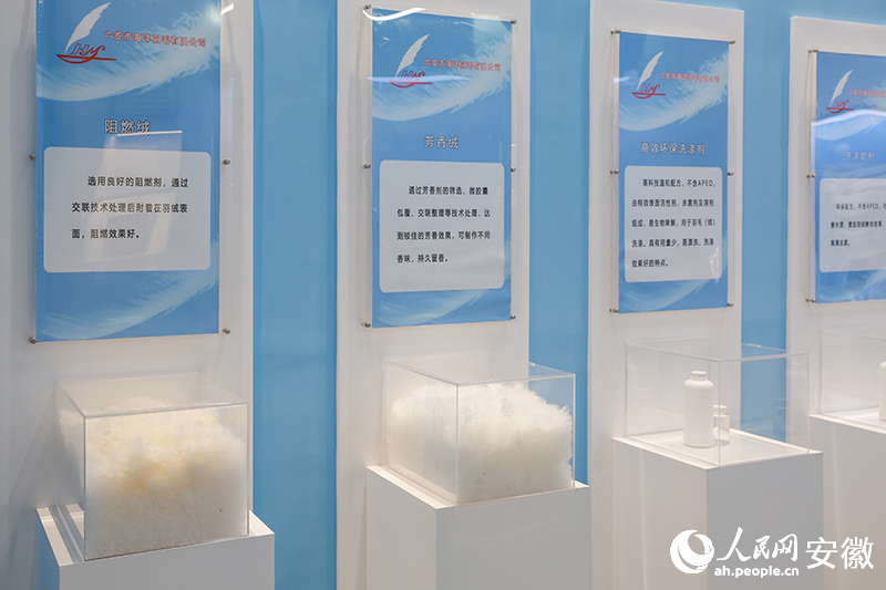 海洋羽毛生產的各種羽絨。人民網記者 張俊攝