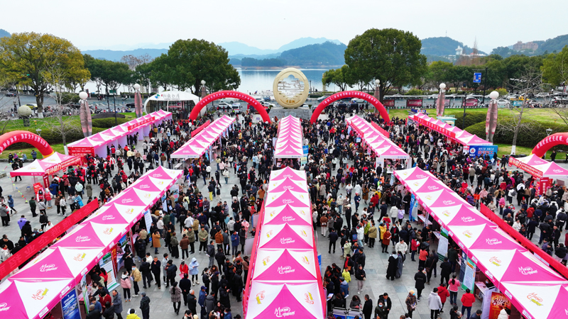 人力資源交流會火熱啟幕。淳安縣委宣傳部供圖