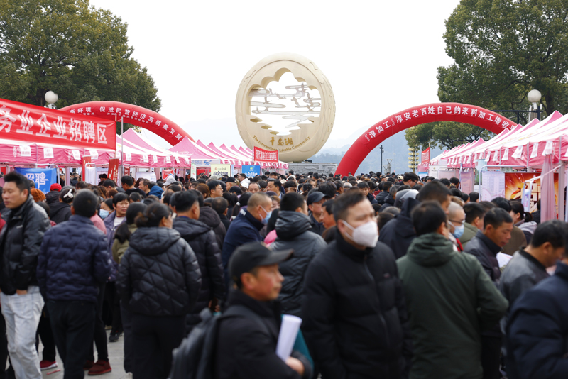 人力資源交流會火熱啟幕。淳安縣委宣傳部供圖