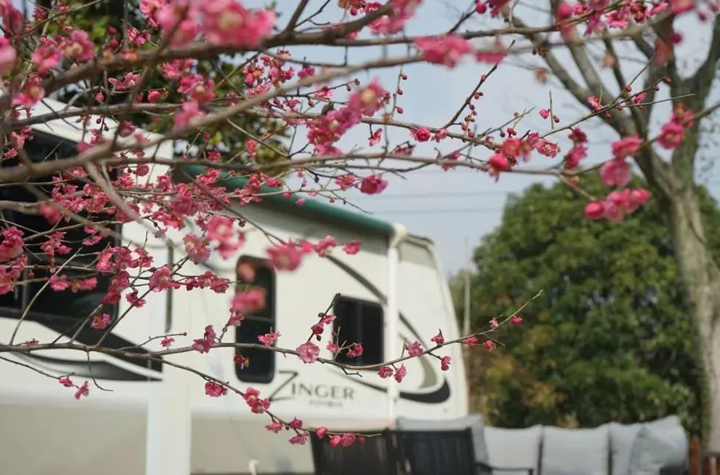 開了！余杭人趕緊安排！錯過等一年