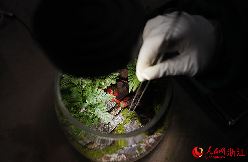 麗水市蓮都區老竹畬族鎮共富工坊內，工作人員正在制作苔蘚微瓶栽。人民網 章勇濤攝