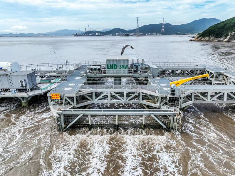 LHD第四代1.6兆瓦“奮進號”機組。受訪者供圖