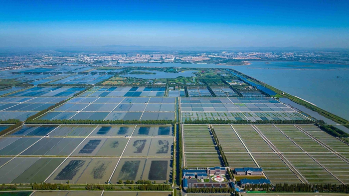 航拍高淳固城湖螃蟹核心區。高淳區融媒體中心供圖