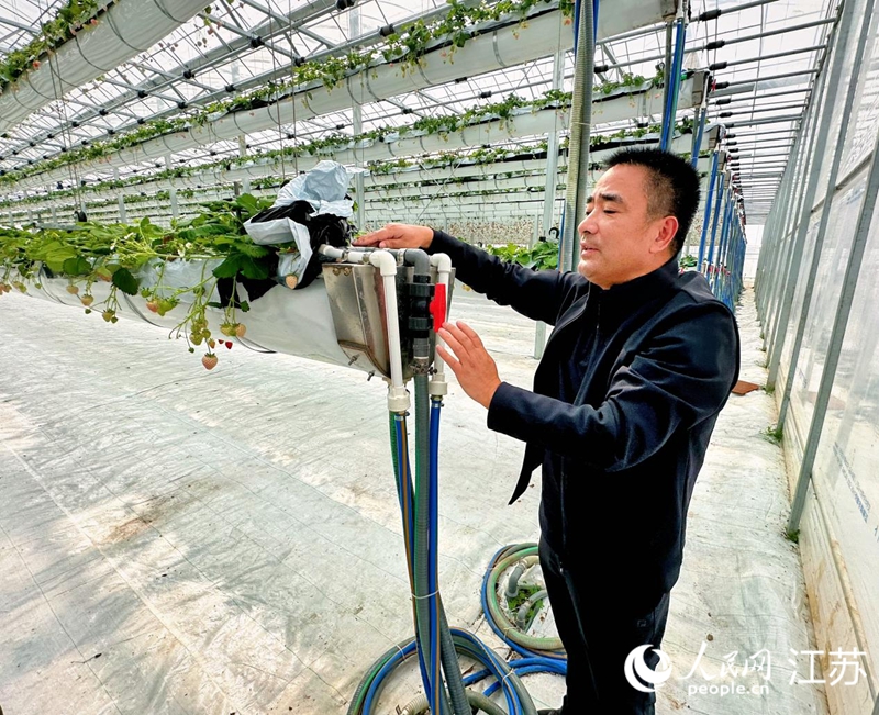 農技人員檢查水肥、暖氣一體化供應管道。人民網 周夢嬌攝