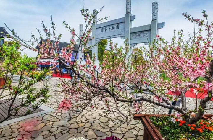 點開這條推送，迎接花花的浪漫暴擊