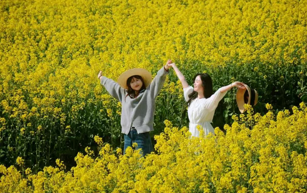 花想開了，我想你了～