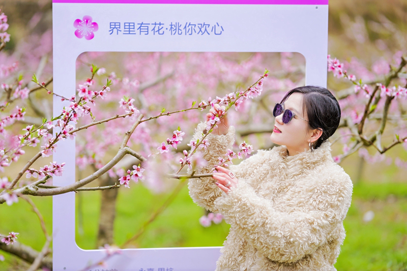 游客在桃花林拍照打卡。