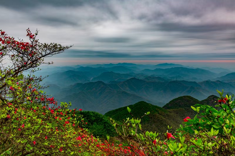 余杭區百丈鎮溪口村景色。百丈鎮供圖
