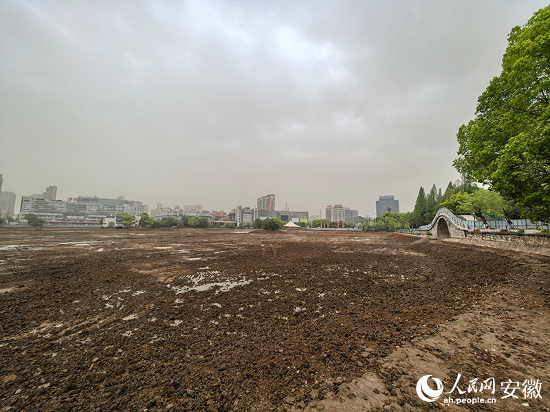 全面清淤過后的鏡湖。人民網記者 汪瑞華攝