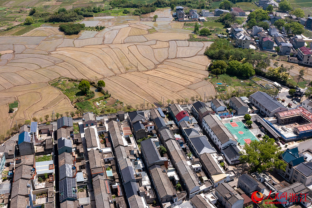 空中俯瞰寧波市寧?？h前童鎮大鄭村，翻耕后的水田阡陌縱橫。人民網 章勇濤攝