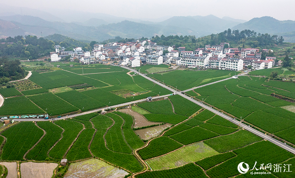 空中俯瞰浙江省麗水市縉云縣前路鄉，村落錯落有致。人民網 章勇濤攝