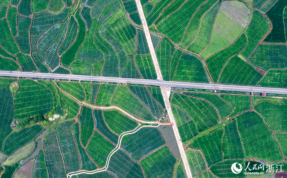 空中俯瞰浙江省麗水市縉云縣前路鄉。人民網 章勇濤攝