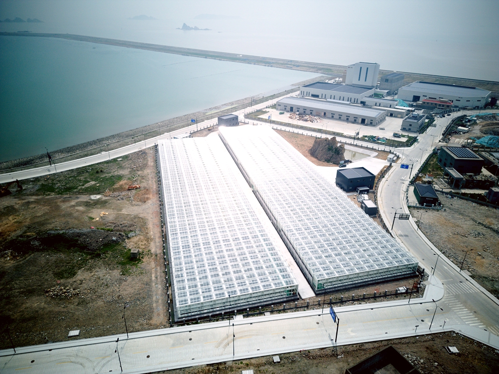 空中俯瞰嵊泗海島“蔬菜工廠”。洪佳琪攝