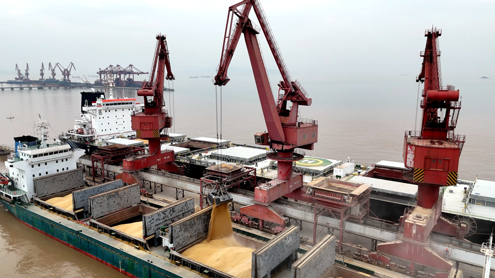 船上滿載的大豆正借助碼頭門機抓斗運轉至二程船上。陳雨露攝