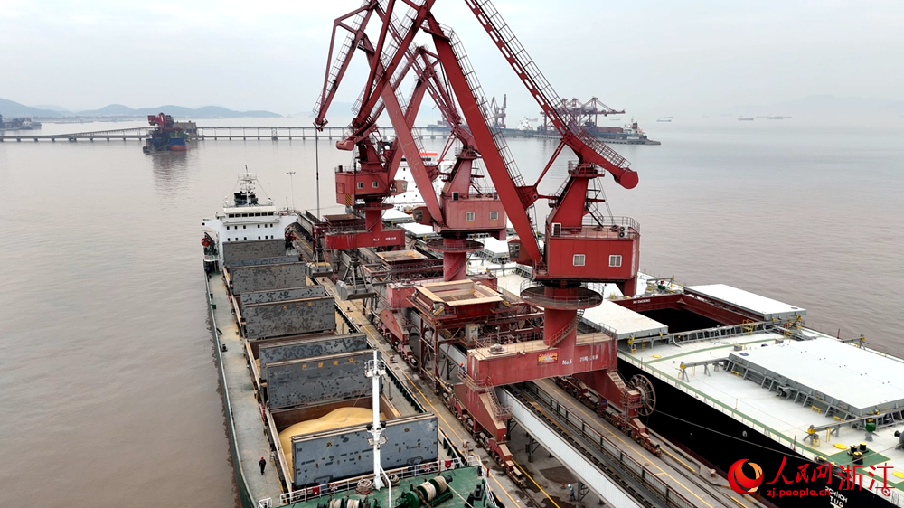 門機林立，抓斗飛舞。人民網 陳陸洵攝