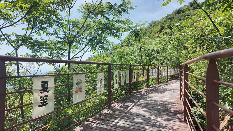 山頂“云端養生”布置有節氣養生登山謠。主辦方供圖