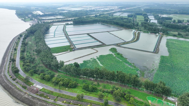 蔣壩鎮頭河村螺螄產業示范基地。駱兵攝