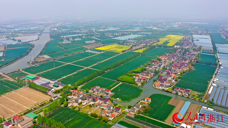 范東村航拍。人民網記者 郭揚攝