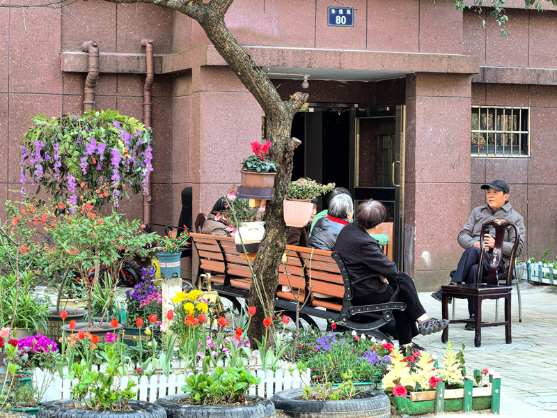 小花園扮靚社區環境。甬江街道供圖