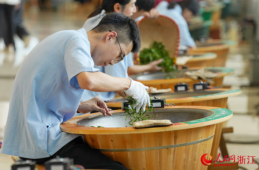 參加大賽的炒茶師。人民網記者 郭揚攝