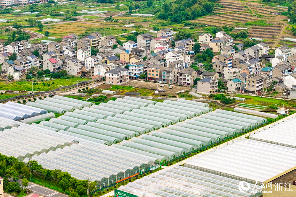 浙江省臺州市黃巖區西甜瓜科創園綠意盎然，連片大棚內孕育著現代農業的“甜蜜希望”。人民網 章勇濤攝