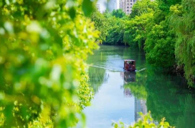 避開“人從眾”！打卡杭州最美水上風景線